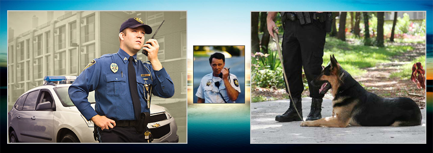 #htmlcaption image 5