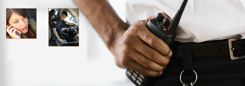 Security Response logo